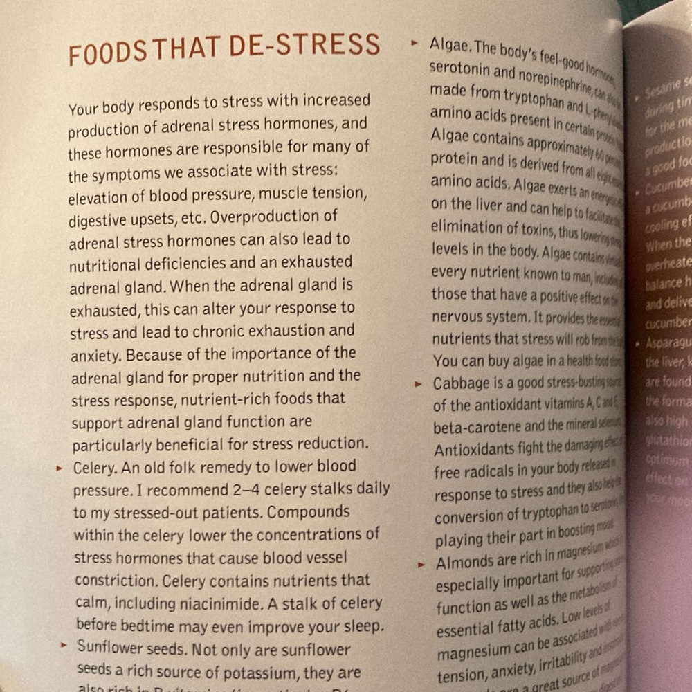 COOKBOOK . “Just 10 Minutes”, Quick easy recipes AND “You are what you eat “ - Picture 15 of 16